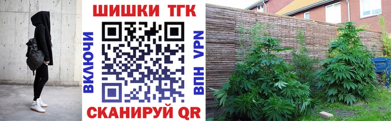 Где купить наркоту Мценск Гашиш  Псилоцибиновые грибы  Alpha-PVP  Мефедрон  Каннабис 