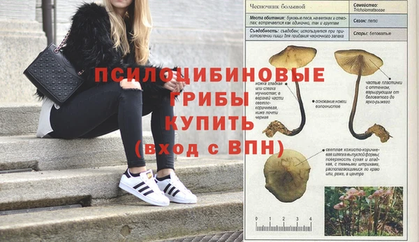 каннабис Балабаново