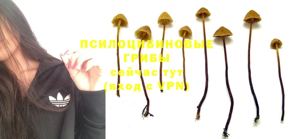 гидра Аркадак