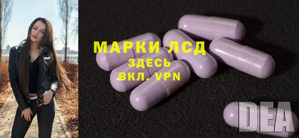 гидра Аркадак