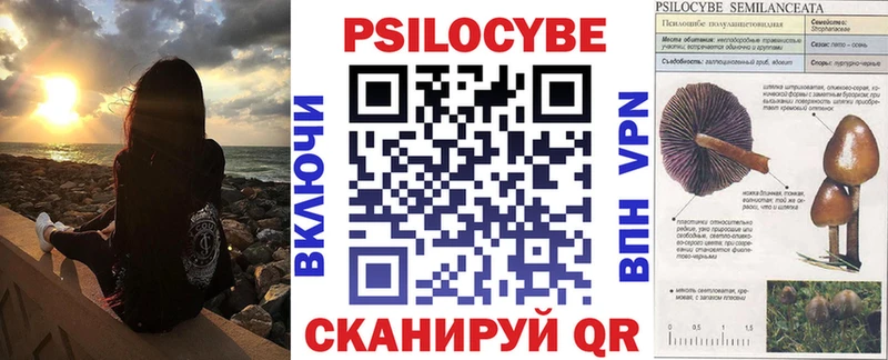 Галлюциногенные грибы GOLDEN TEACHER  закладки  Мценск 
